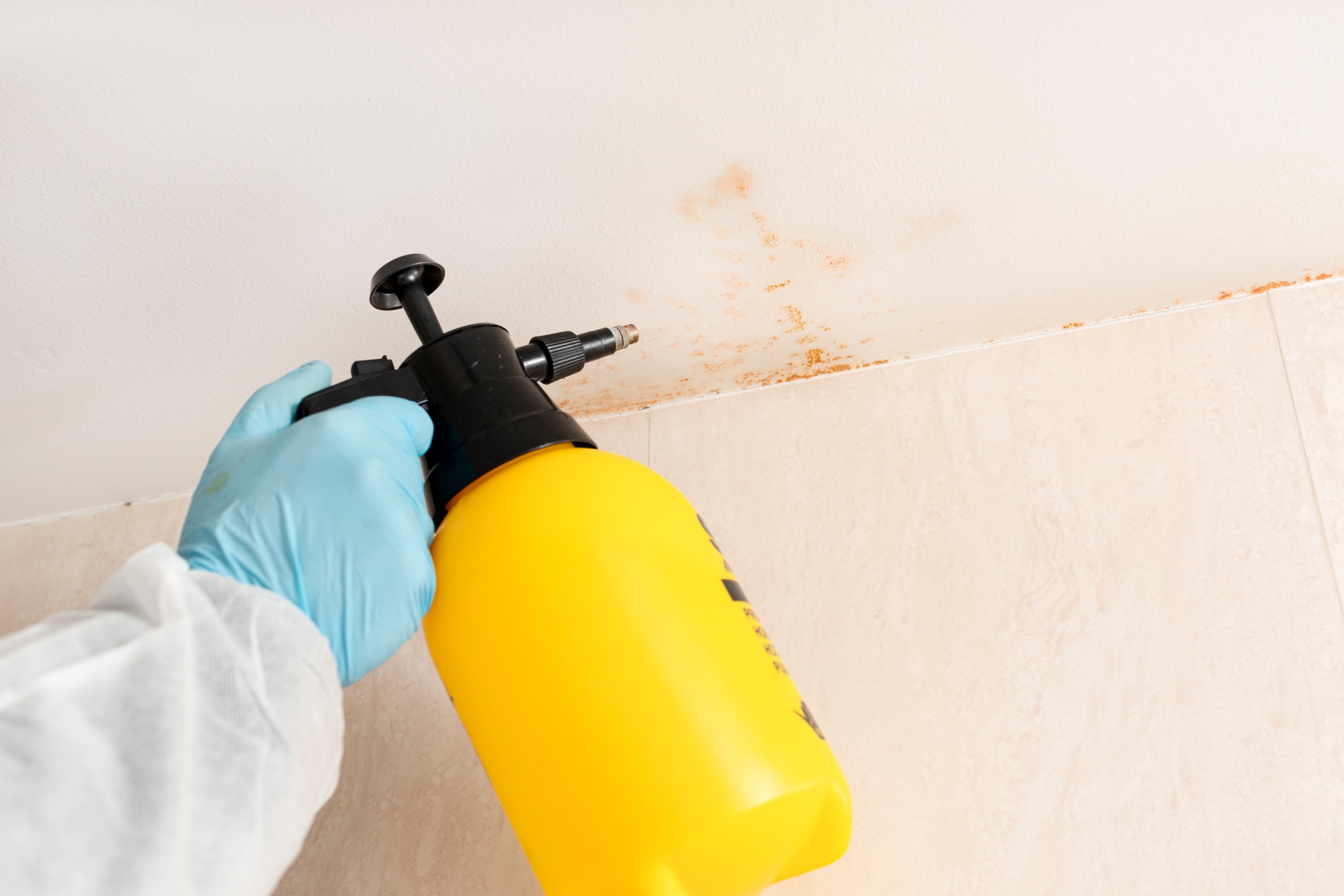 Close up of a person cleaning mold in a bathroom with a sprayer